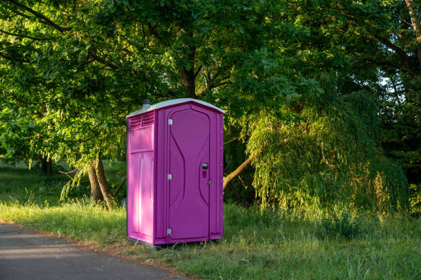 Portable Toilet Options We Offer in Avenue B And C, AZ